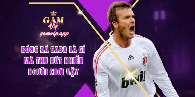 Bóng đá SABA là gì mà thu hút nhiều người chơi vậy