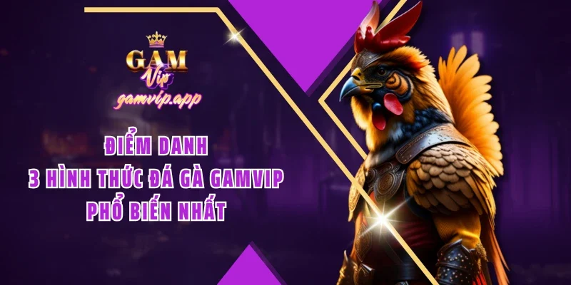 Điểm danh 3 hình thức Đá gà Gamvip phổ biến nhất