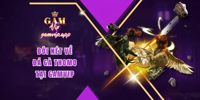 Đôi nét về đá gà Thomo tại Gamvip