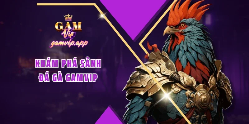 Khám phá sảnh Đá gà Gamvip
