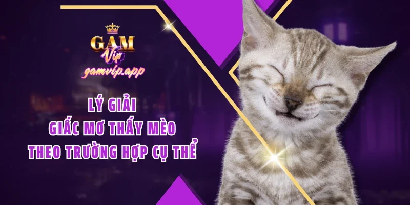 Lý giải giấc mơ thấy mèo theo trường hợp cụ thể