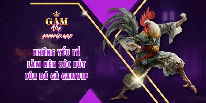 Những yếu tố làm nên sức hút của Đá gà Gamvip